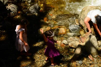 DSC_2343 (Large).JPG